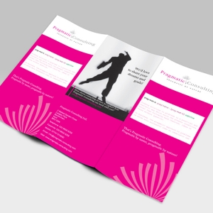 DL flyer pragmatic consulting