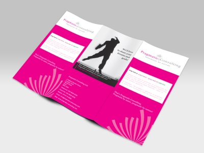 DL flyer pragmatic consulting